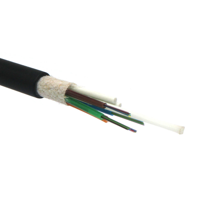 24F G652D/G657A1 FRP Outdoor Single Mode Fiber Optic Cable for Data Transmission