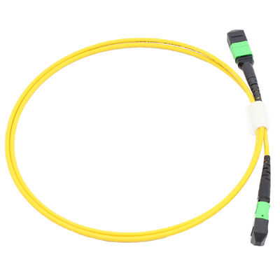 FTTH MPO Patch Cord 8 12 24 Core Om3 Om4 Fiber Optic MTP Cable Male Female for Indoor Outdoor