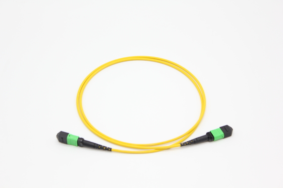 FTTH MPO Patch Cord 8 12 24 Core Om3 Om4 Fiber Optic MTP Cable Male Female for Indoor Outdoor
