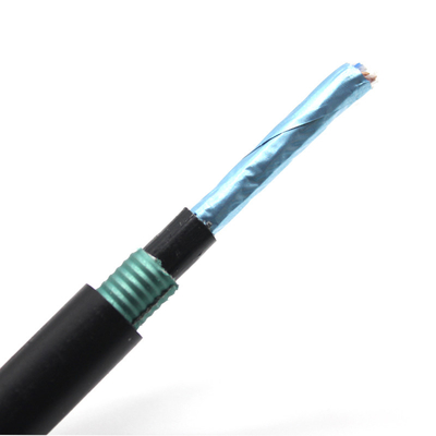 FTP Cat6a Armored Anti Rodent Ethernet Cable Up To10 Gigabit