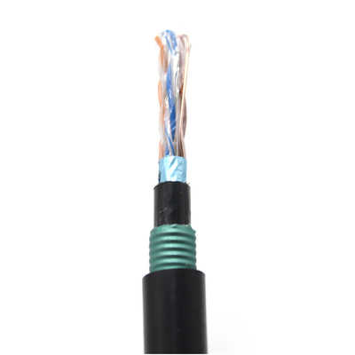 Armored Outdoor Shielded CAT6 Ethernet Cable Antirat Bite Network Cord