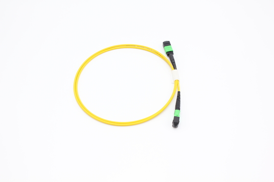 OM3/OM4 MPO Connector 12 Fiber MPO Trunk Cable 8/12/24F MTP MPO Cable For Data Center Room